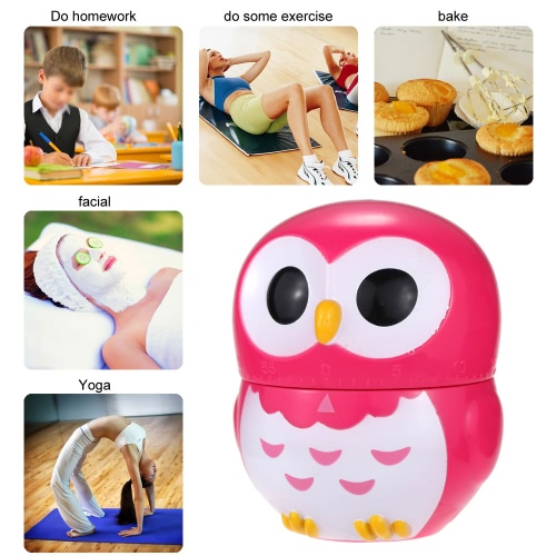 

Kitchen Cooking Timer Mechanical Drive Countdown 60-Minute Loud Alarm Clock Cartoon Owlet Shape
